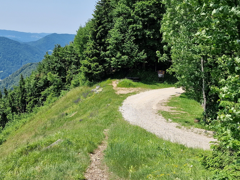 Slika je vidna v Google Chromu.