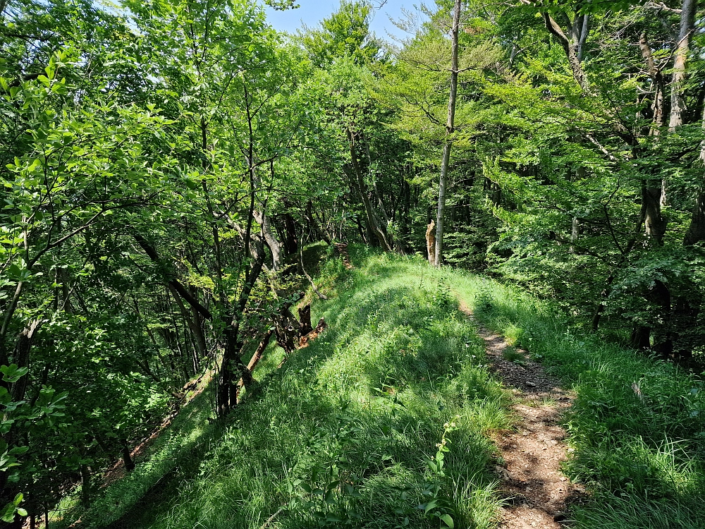 Slika je vidna v Google Chromu.