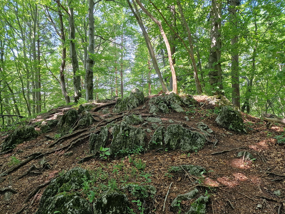 Slika je vidna v Google Chromu.