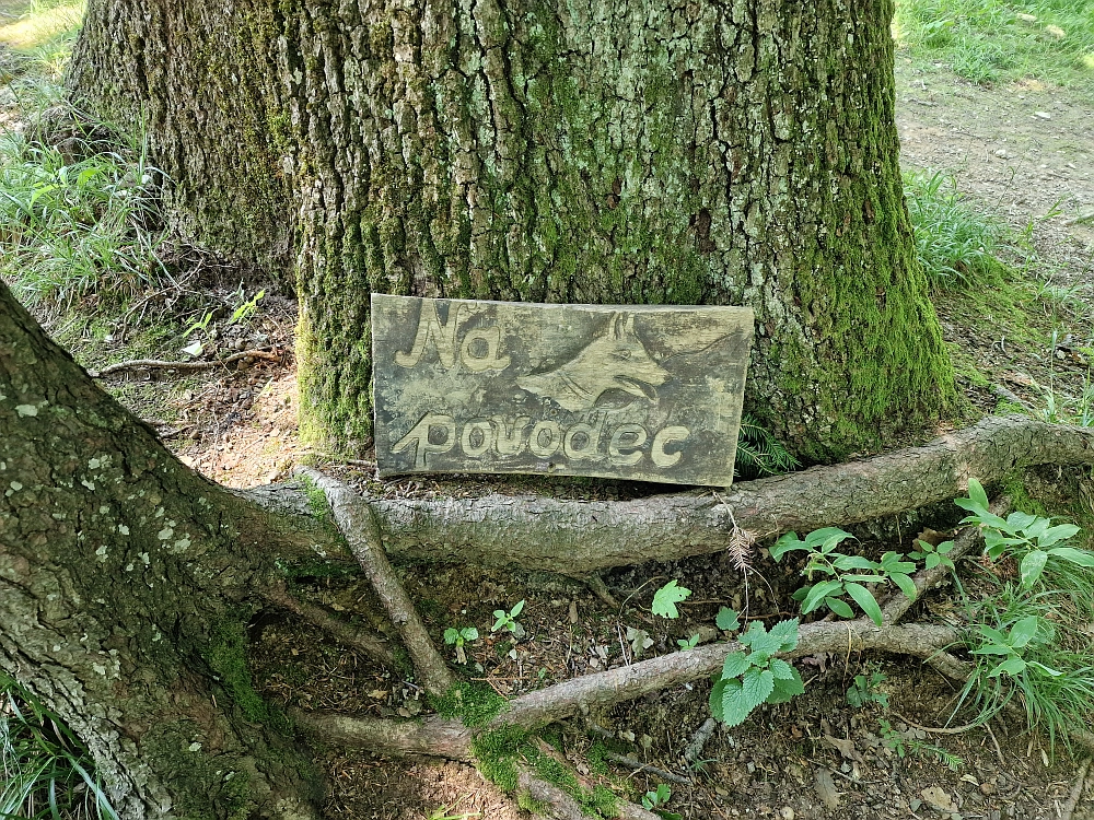 Slika je vidna v Google Chromu.