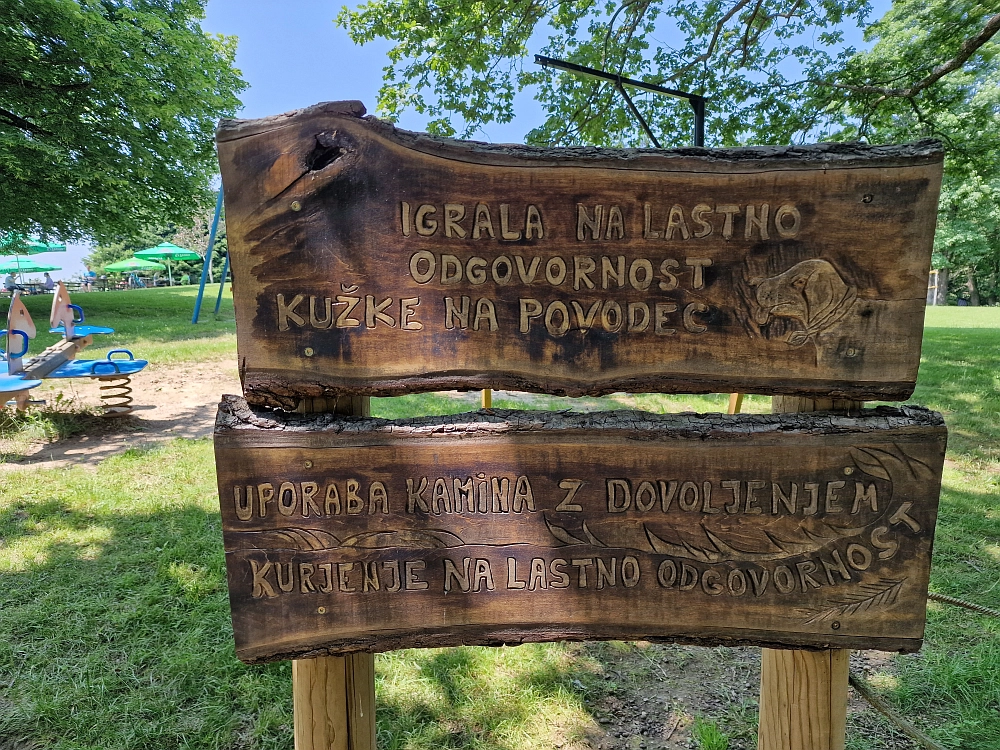 Slika je vidna v Google Chromu.