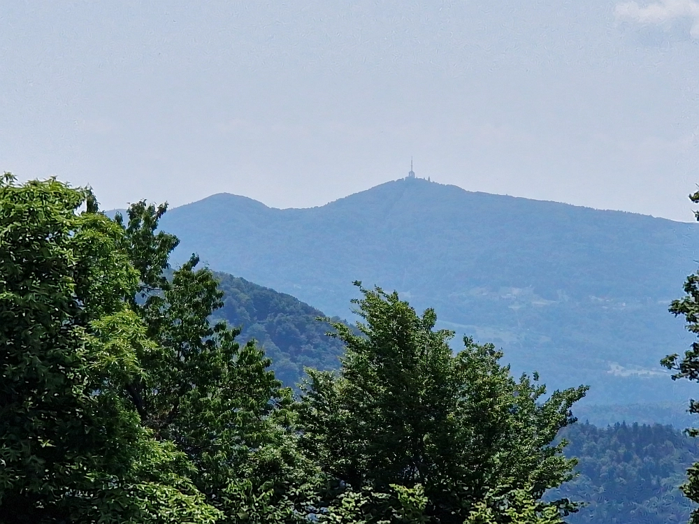 Slika je vidna v Google Chromu.