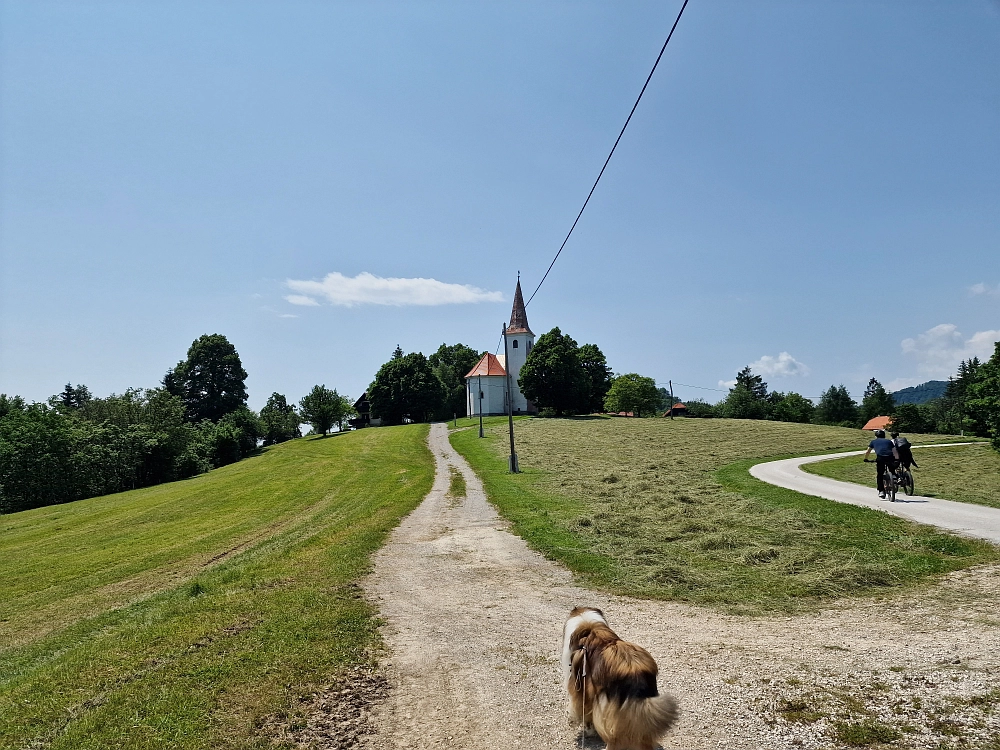Slika je vidna v Google Chromu.