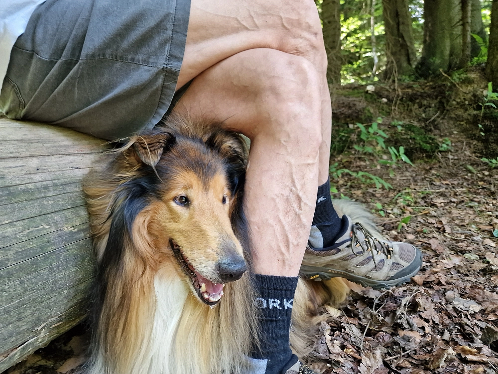 Slika je vidna v Google Chromu.