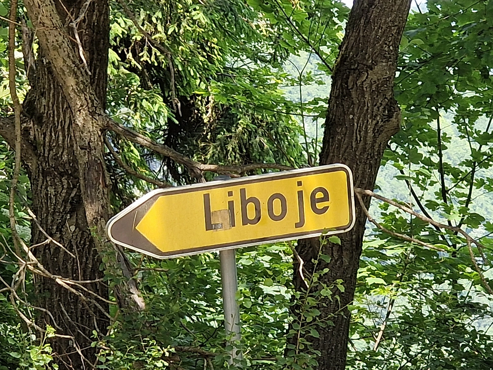 Slika je vidna v Google Chromu.