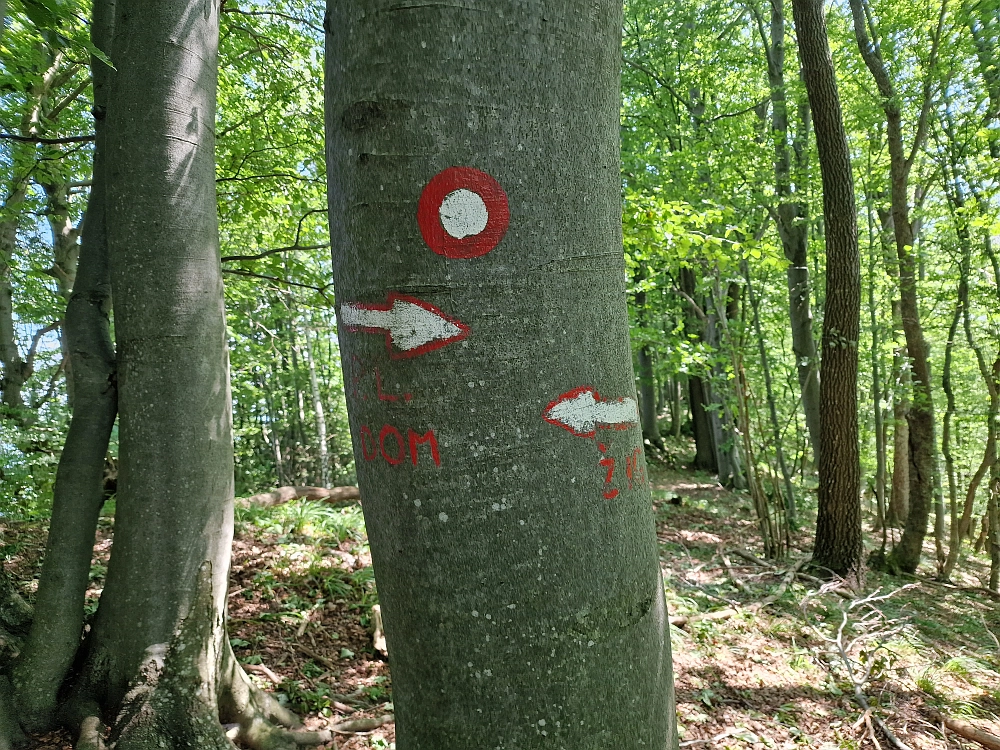 Slika je vidna v Google Chromu.