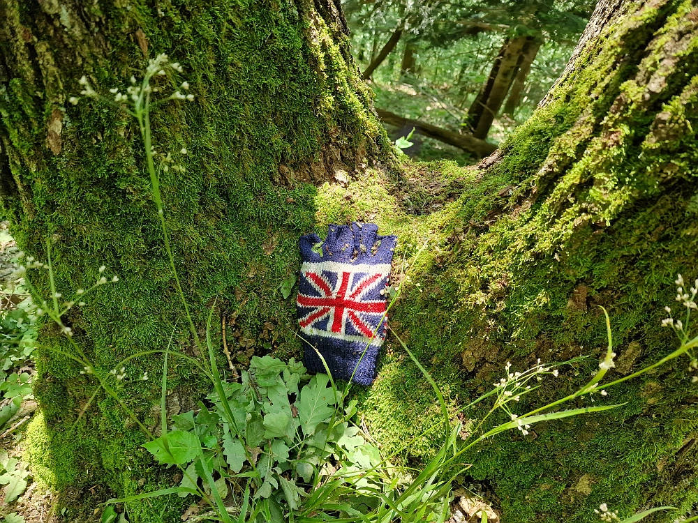 Slika je vidna v Google Chromu.