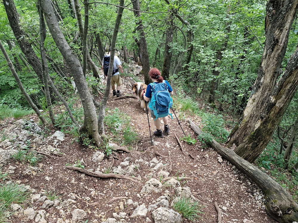 Slika je vidna v Google Chromu.