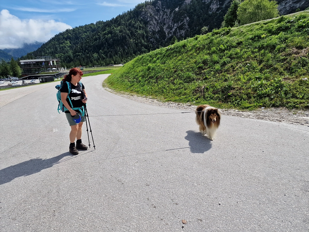 Slika je vidna v Google Chromu.