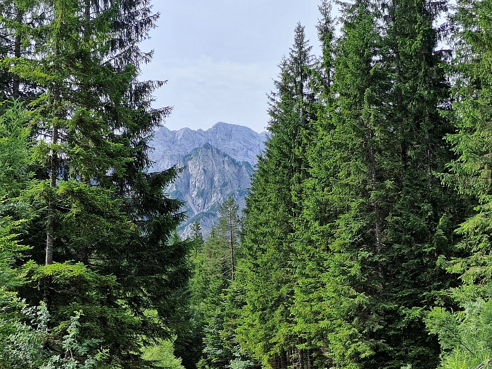 Slika je vidna v Google Chromu.