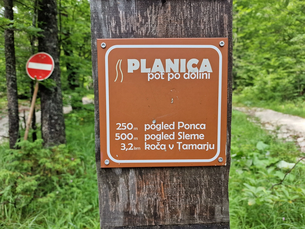 Slika je vidna v Google Chromu.