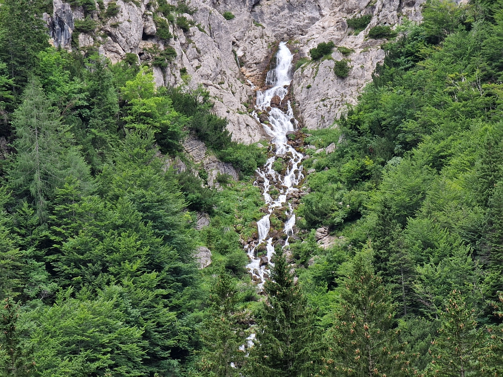 Slika je vidna v Google Chromu.