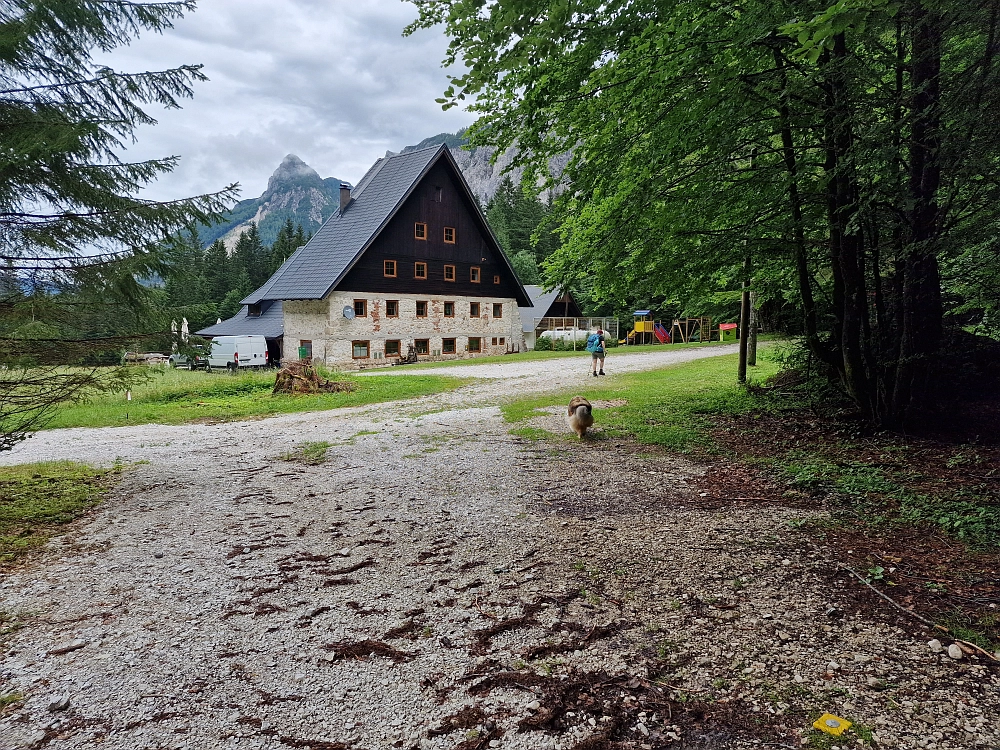 Slika je vidna v Google Chromu.