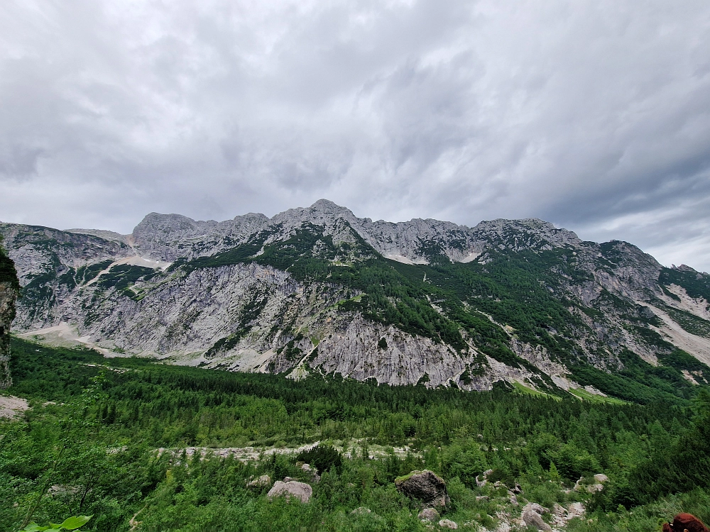Slika je vidna v Google Chromu.