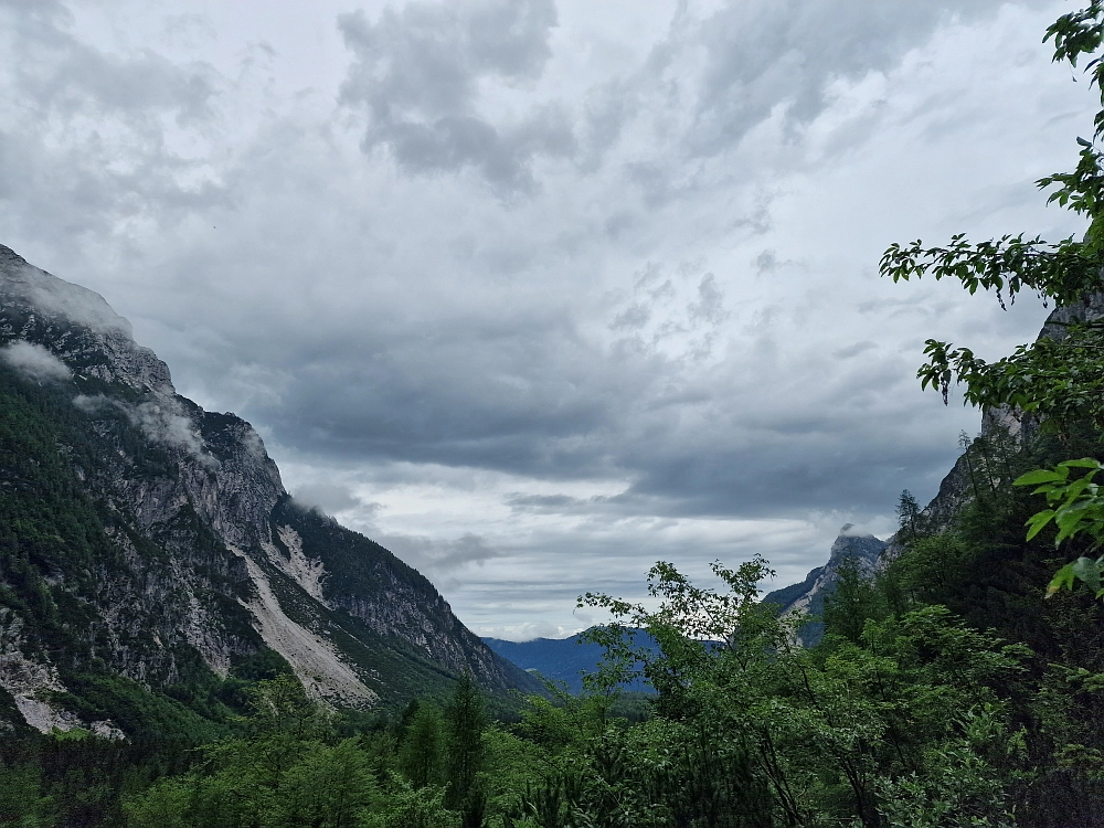 Slika je vidna v Google Chromu.