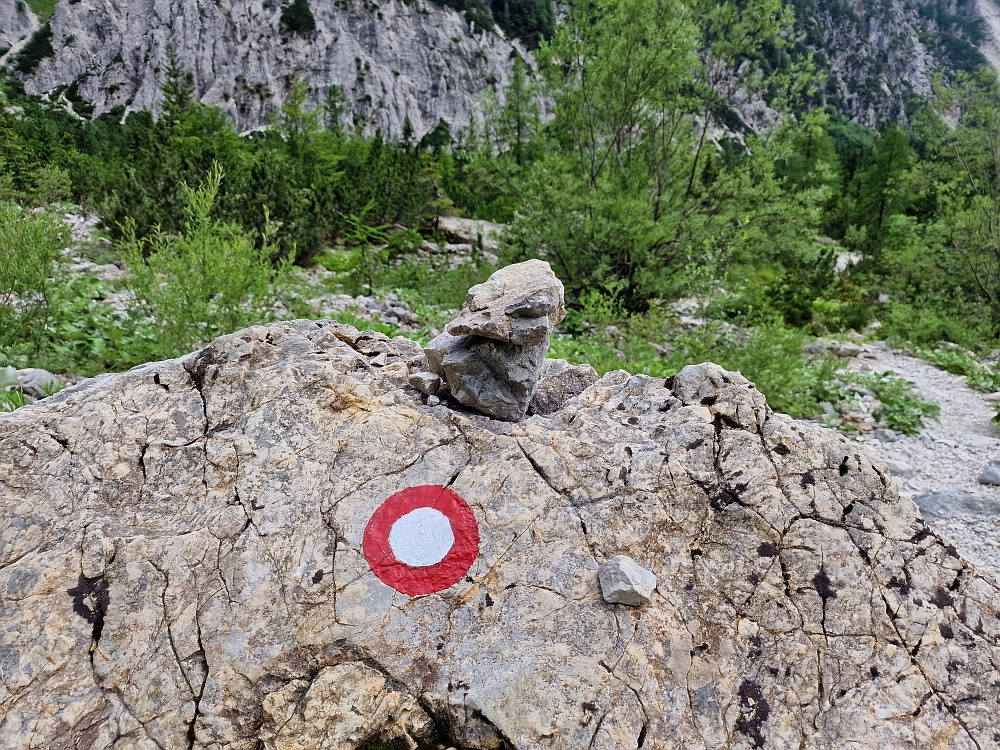 Slika je vidna v Google Chromu.