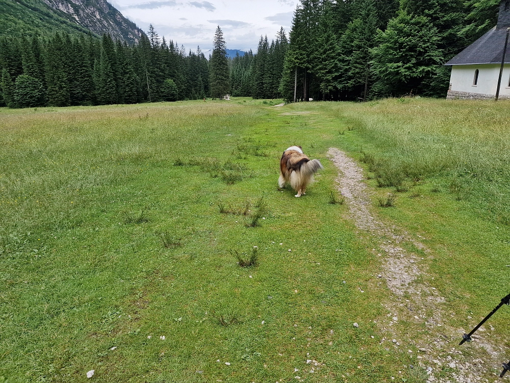 Slika je vidna v Google Chromu.