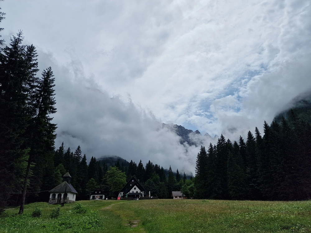 Slika je vidna v Google Chromu.