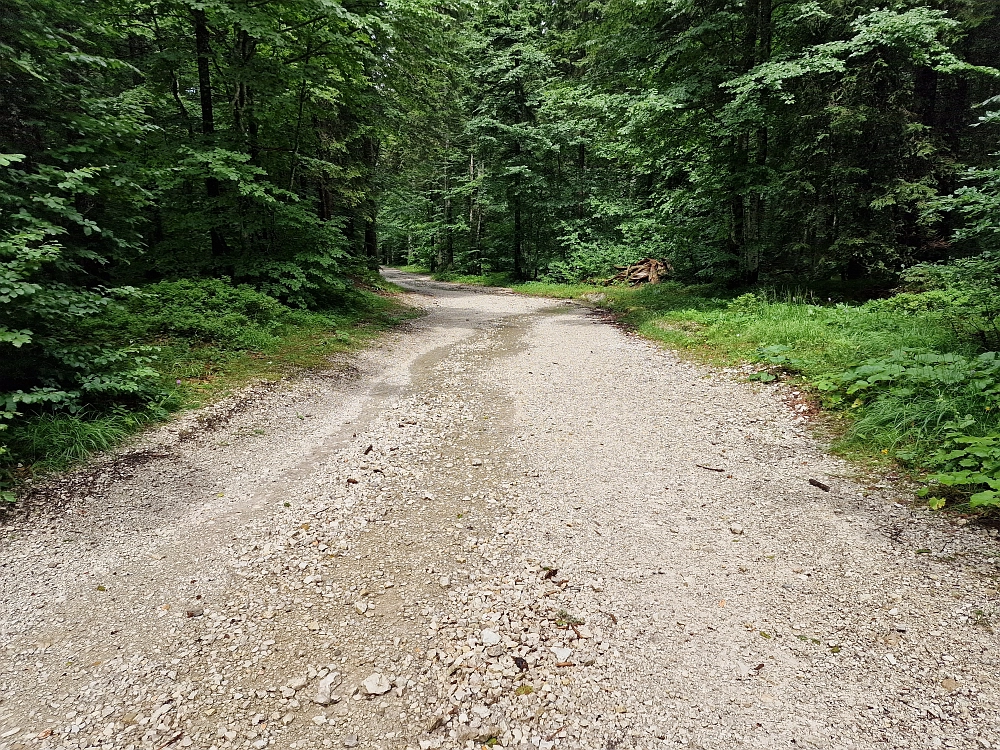 Slika je vidna v Google Chromu.