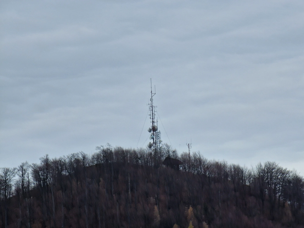 Slika je vidna v Google Chromu.