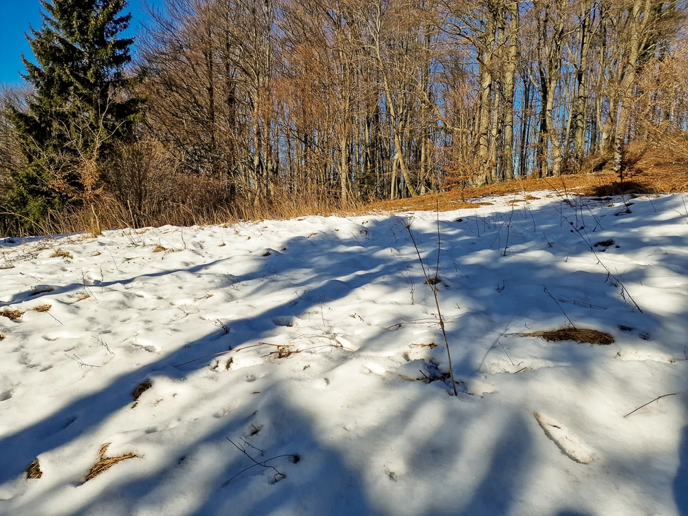 Slika je vidna v Google Chromu.