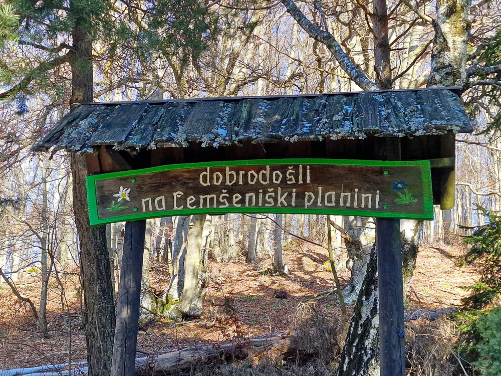 Slika je vidna v Google Chromu.