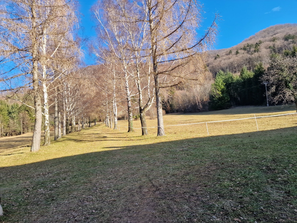 Slika je vidna v Google Chromu.