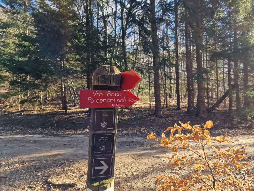 Slika je vidna v Google Chromu.