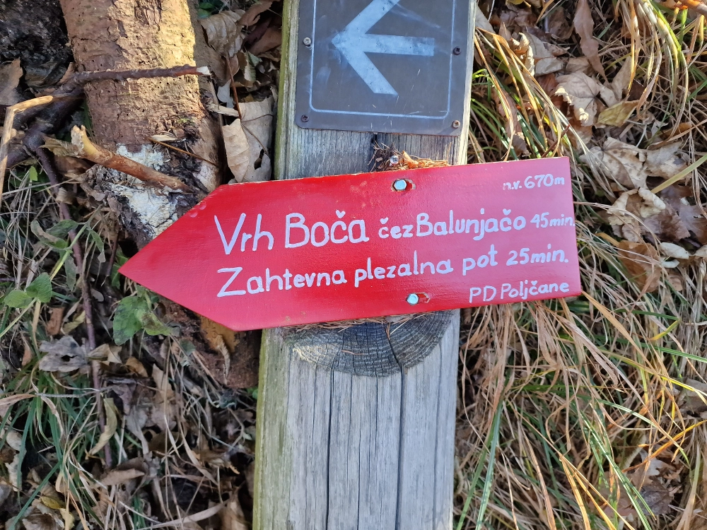 Slika je vidna v Google Chromu.