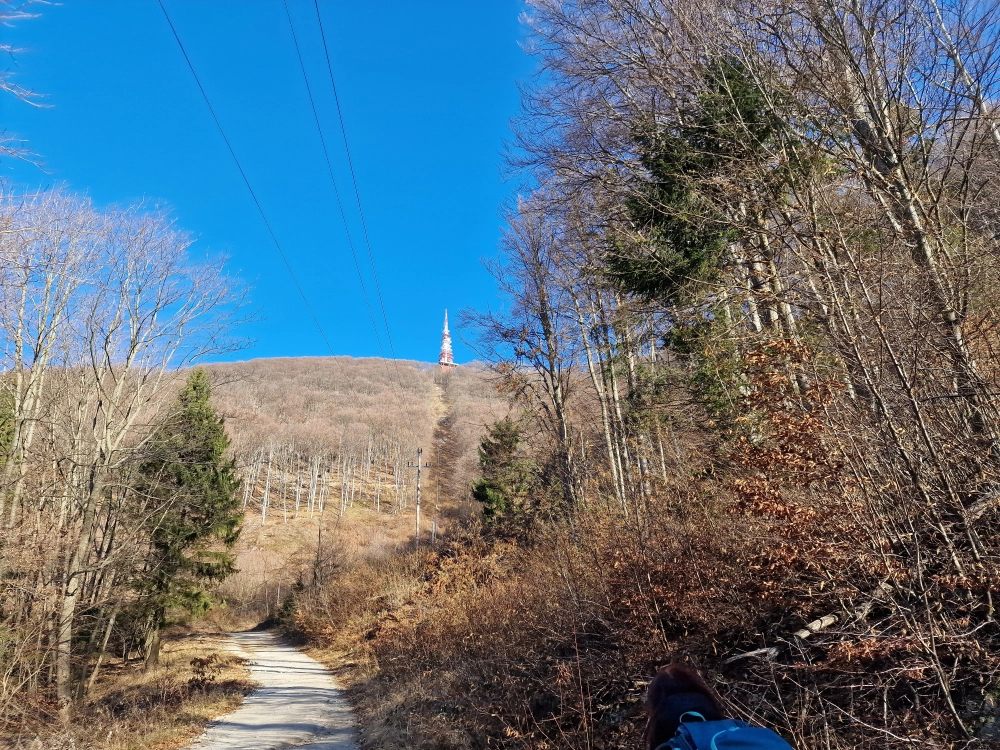 Slika je vidna v Google Chromu.