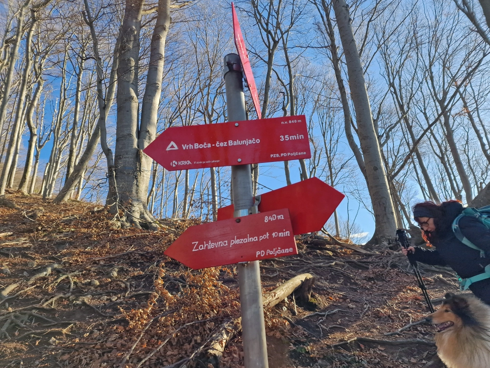 Slika je vidna v Google Chromu.