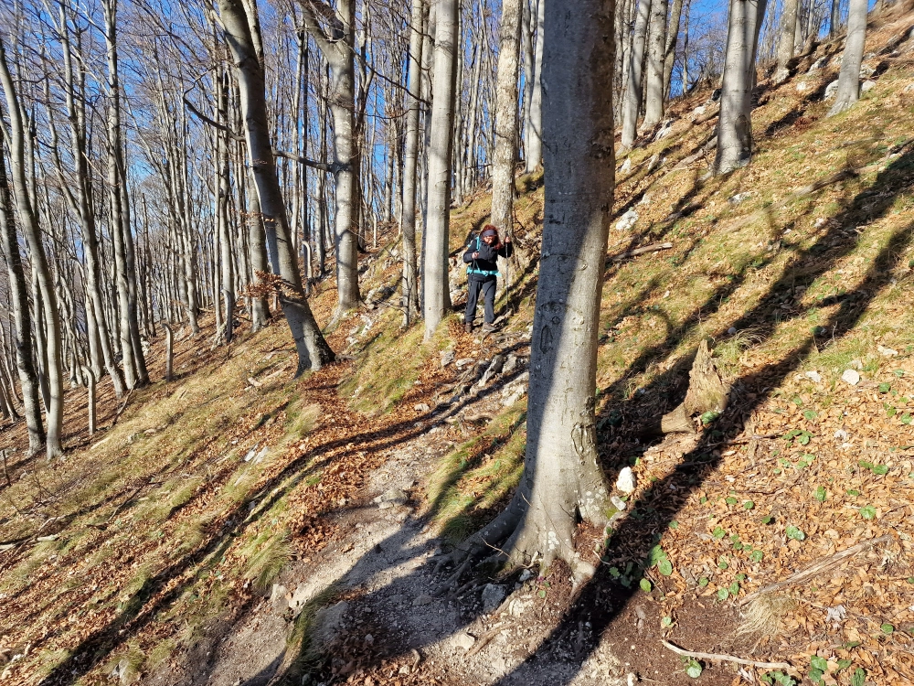 Slika je vidna v Google Chromu.
