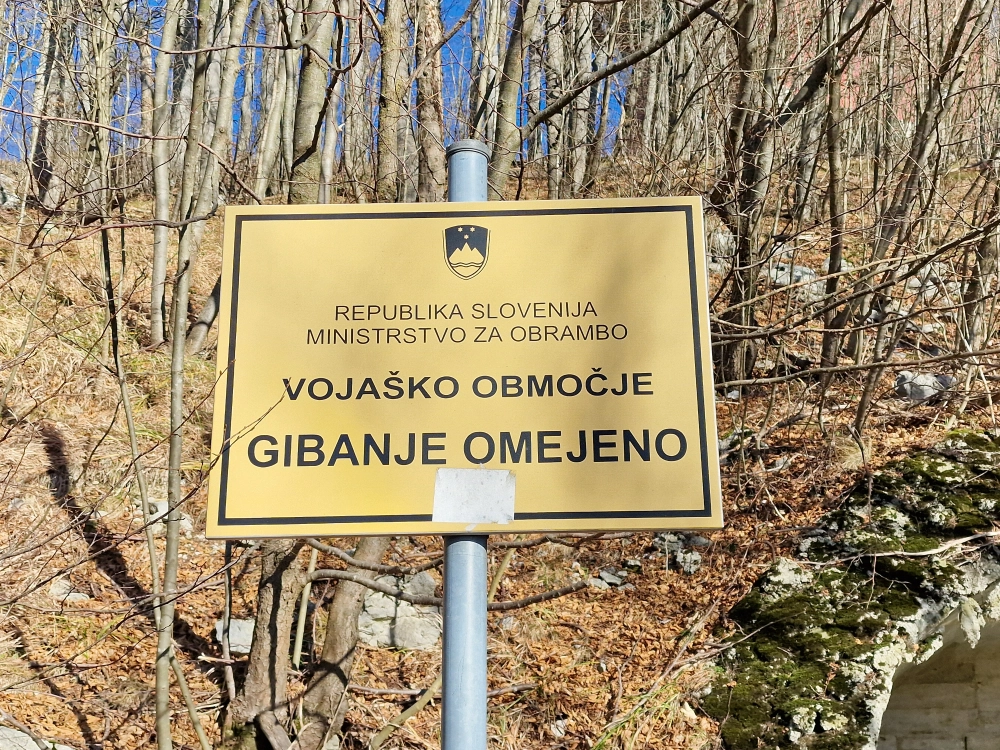 Slika je vidna v Google Chromu.