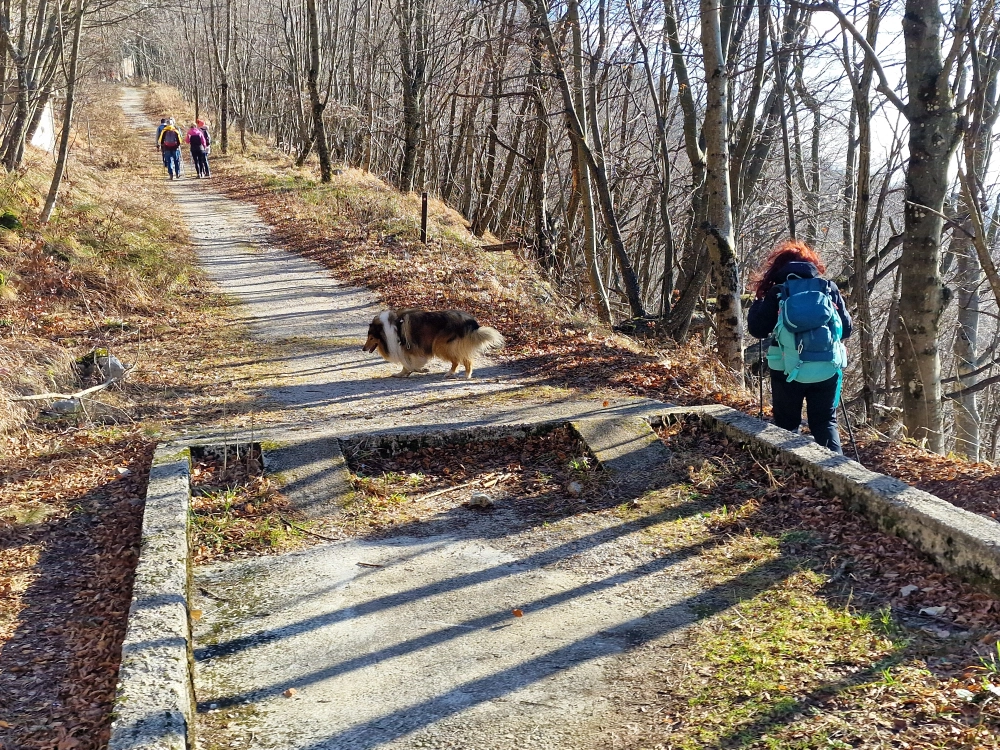 Slika je vidna v Google Chromu.