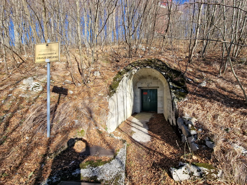 Slika je vidna v Google Chromu.