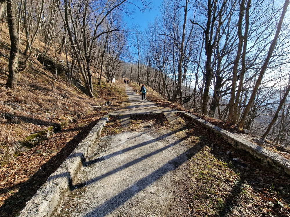 Slika je vidna v Google Chromu.