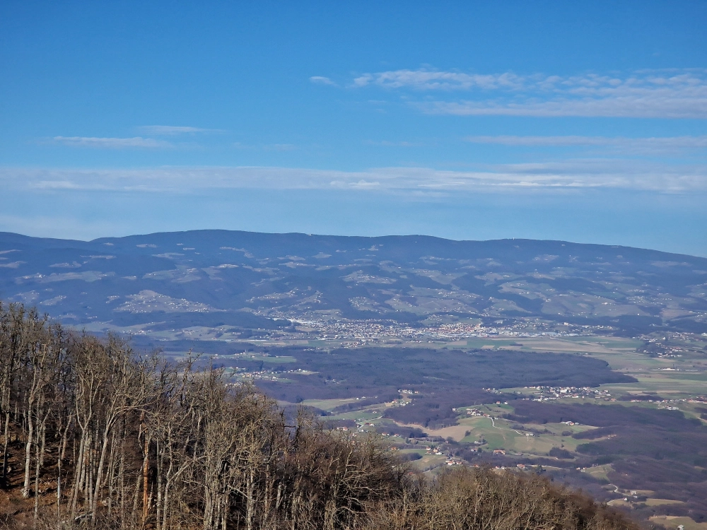 Slika je vidna v Google Chromu.