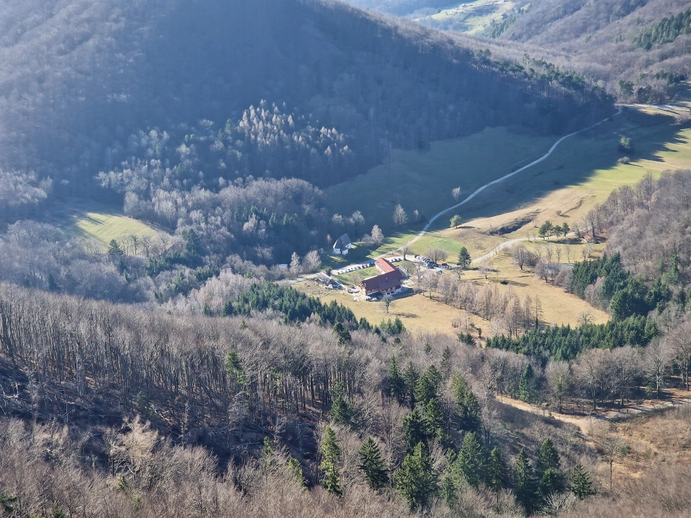 Slika je vidna v Google Chromu.