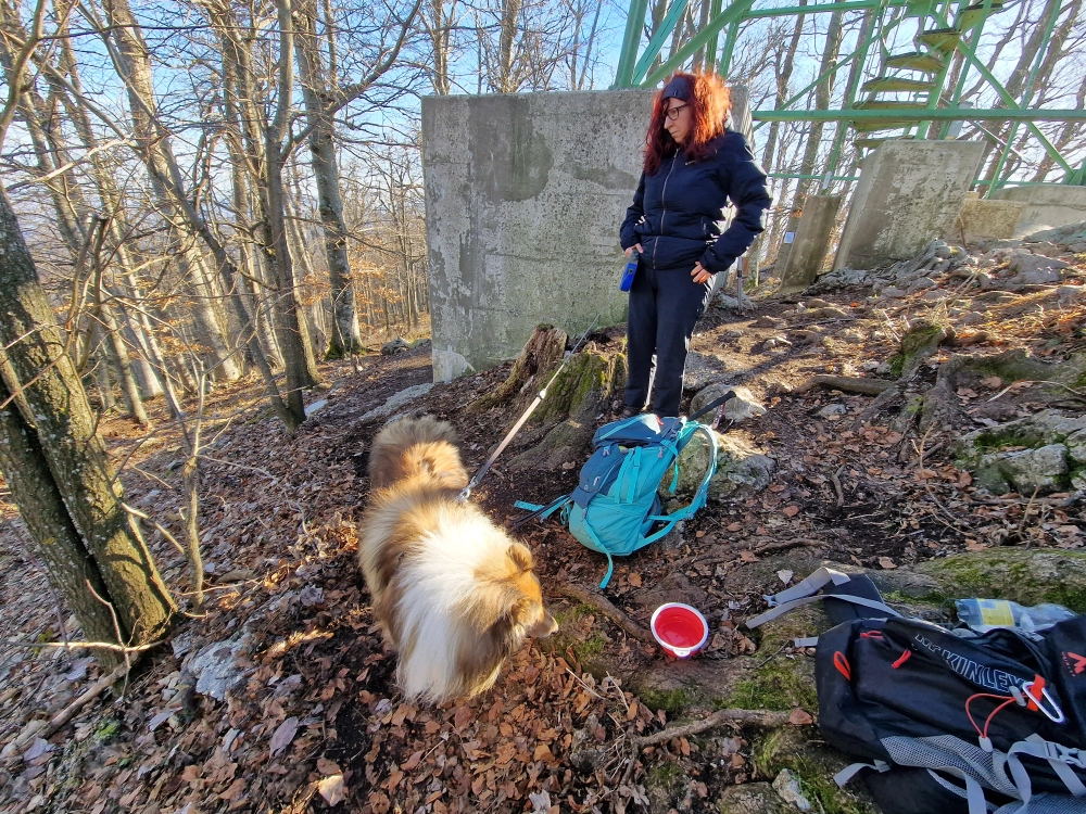 Slika je vidna v Google Chromu.