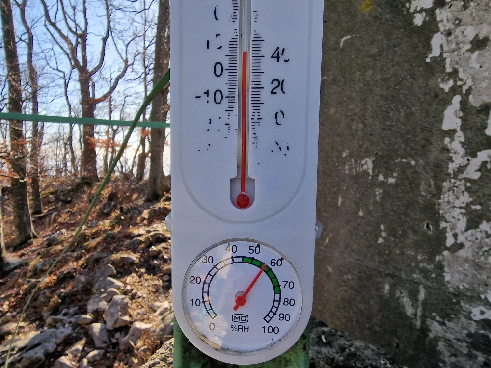 Slika je vidna v Google Chromu.