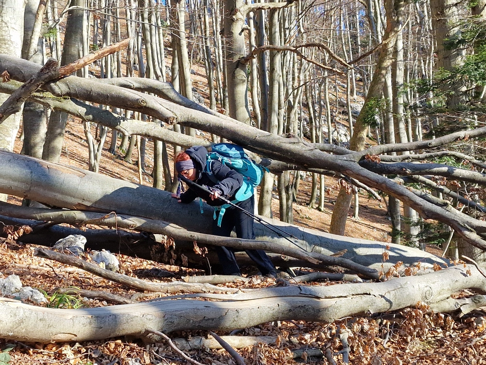 Slika je vidna v Google Chromu.