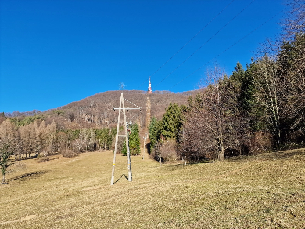 Slika je vidna v Google Chromu.