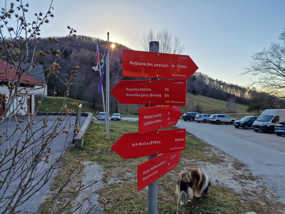 Slika je vidna v Google Chromu.