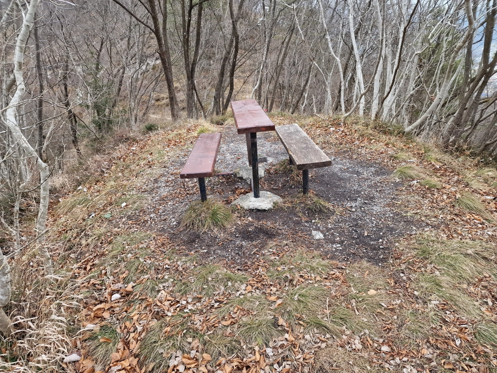 Slika je vidna v Google Chromu.