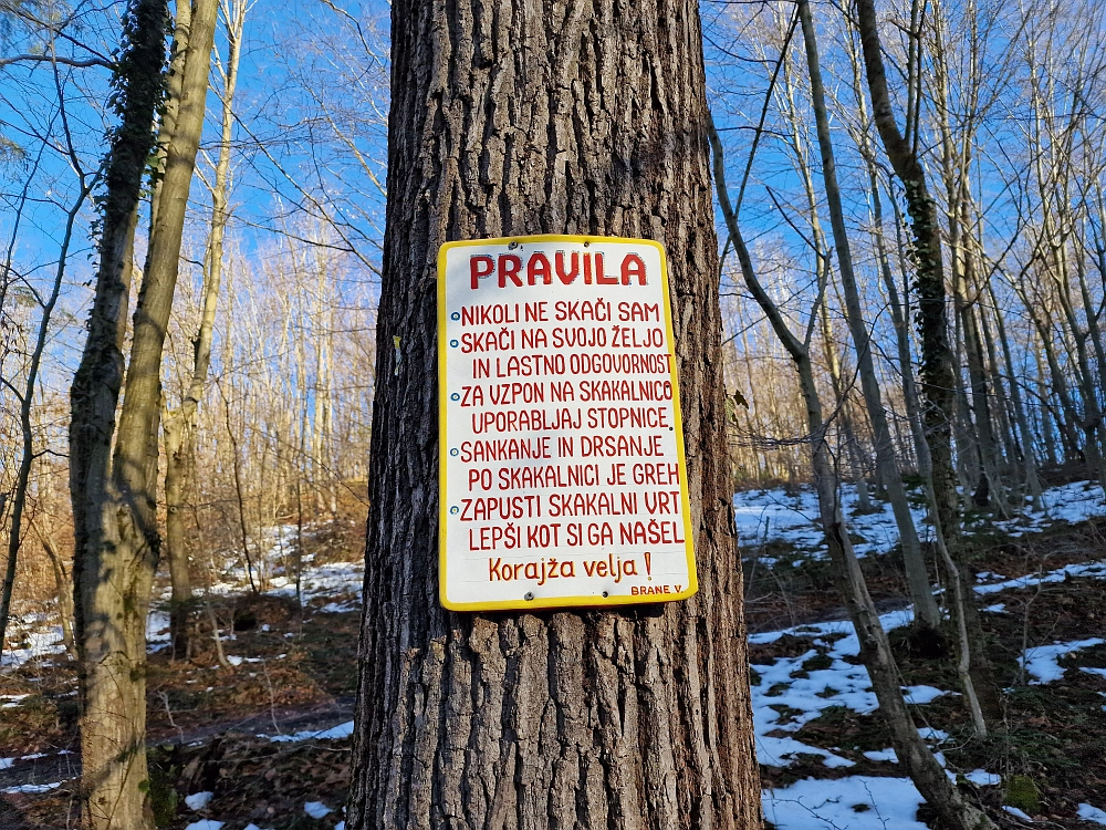 Slika je vidna v Google Chromu.