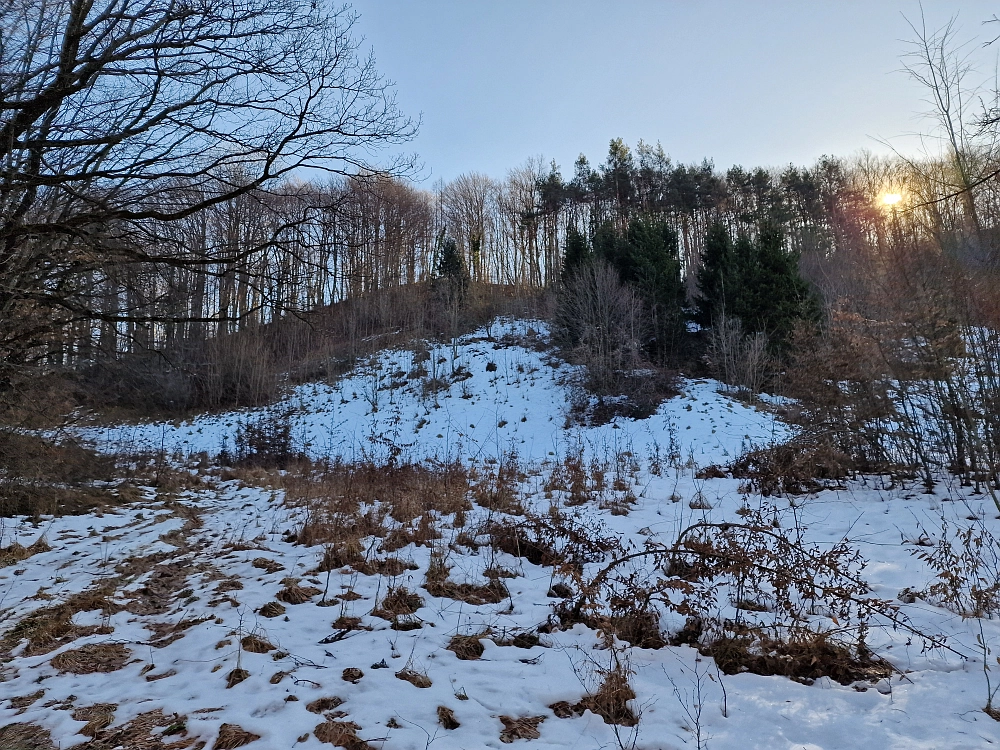 Slika je vidna v Google Chromu.