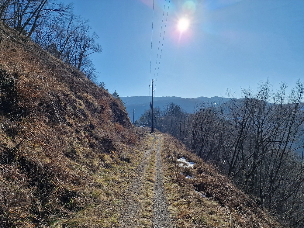 Slika je vidna v Google Chromu.