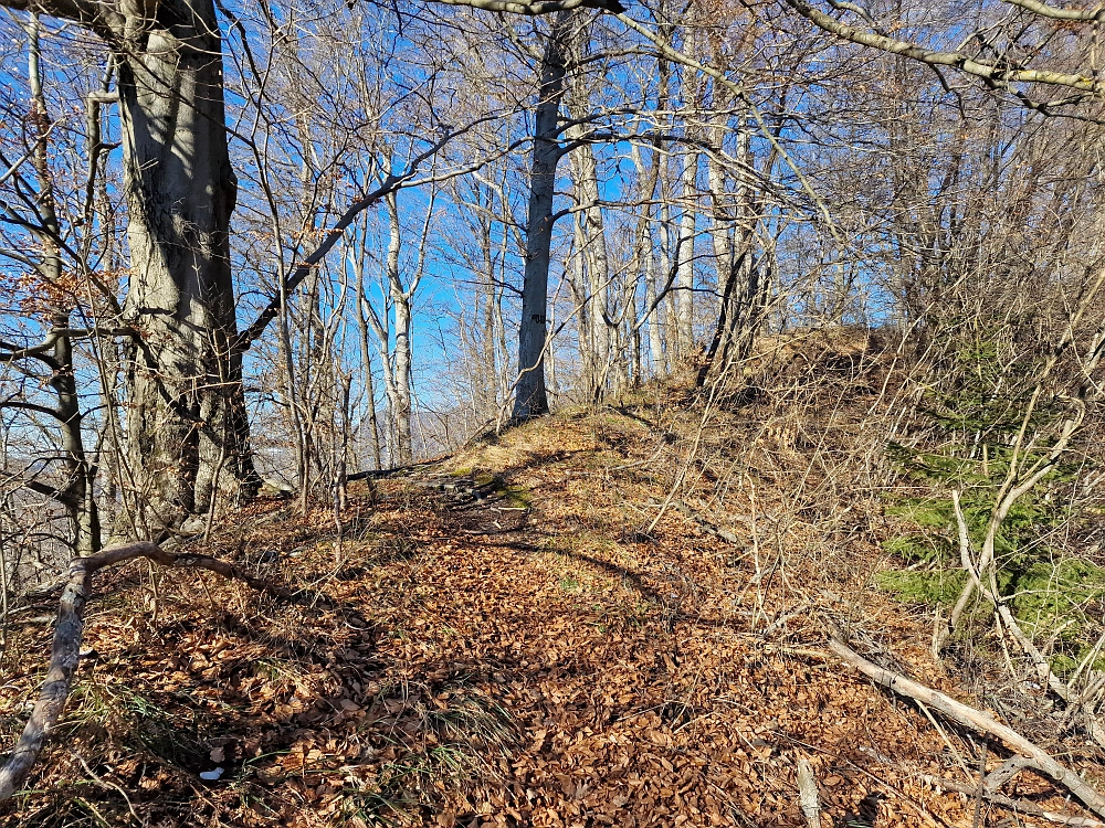 Slika je vidna v Google Chromu.