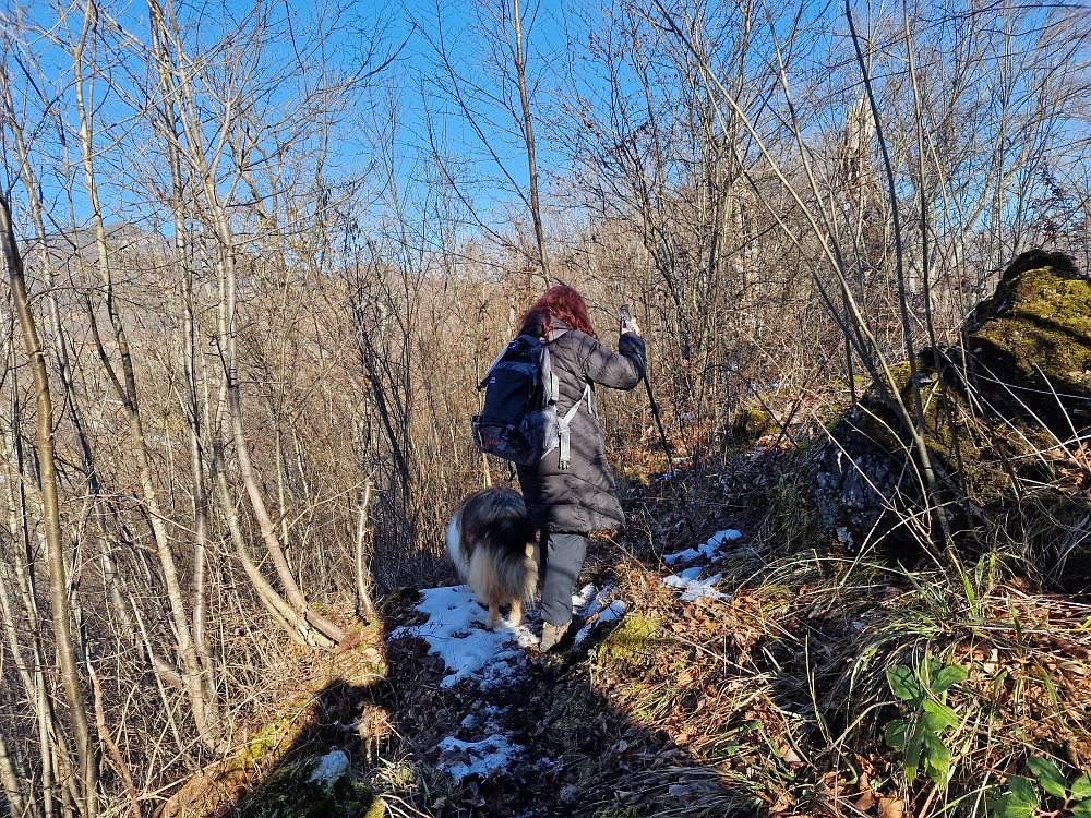Slika je vidna v Google Chromu.