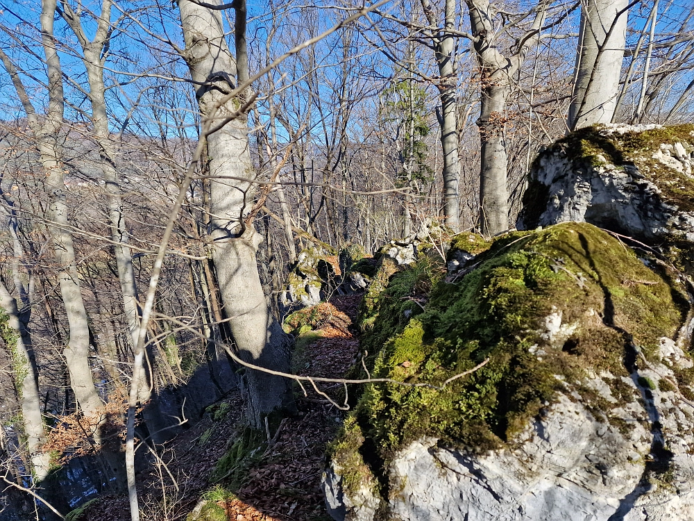 Slika je vidna v Google Chromu.
